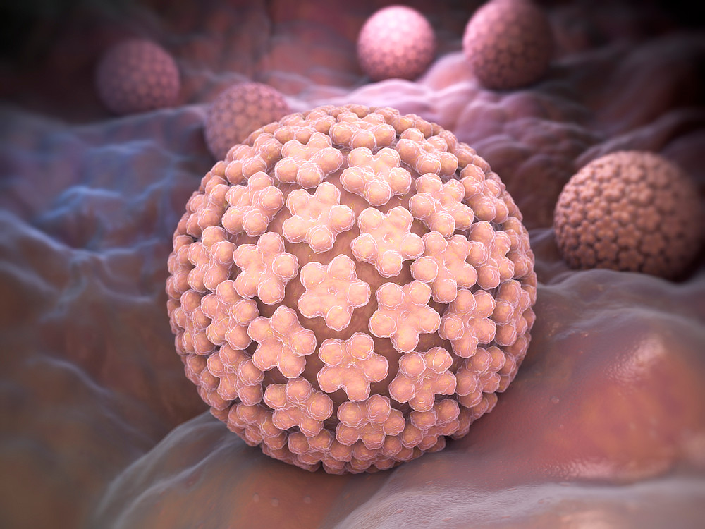 human papillomavirus – HPV (image credit: depositphotos.com)